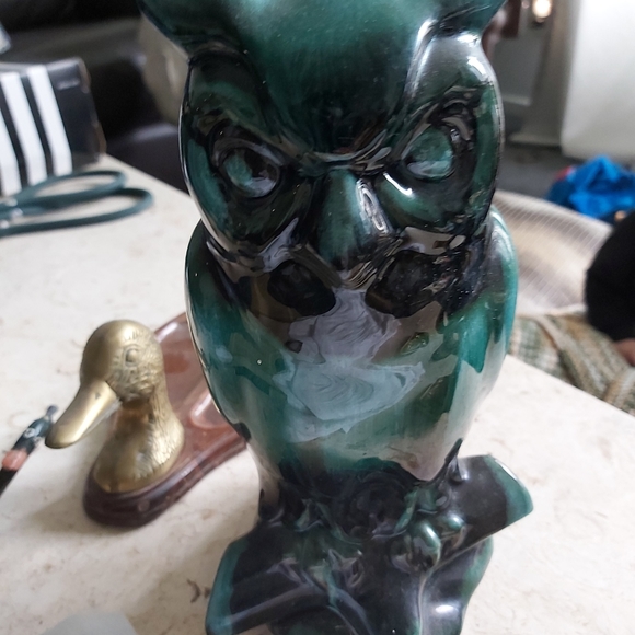 Other - Blue Mountain owl